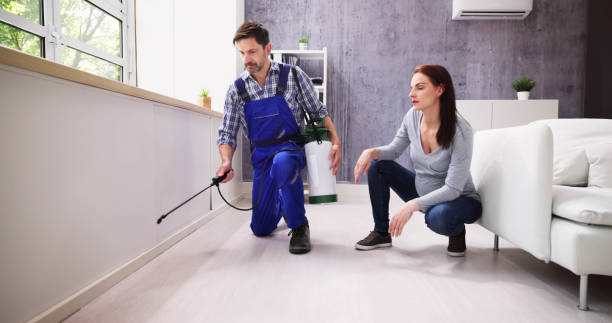 Professional Pest Control in Joppatowne, MD